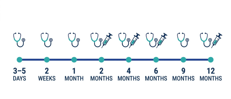 Timeline showing well-baby visit schedule from birth to 12 months with vaccination markers at 2, 4, 6, and 12 months